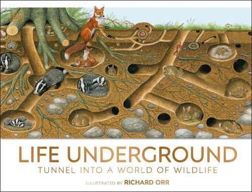 Life Underground By John Woodward (author), Richard Orr (illustrator)