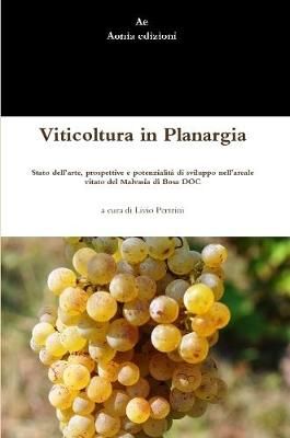 Viticoltura in Planargia. Stato dell'arte, prospettive e potenzialit? di sviluppo nell'areale vitato del Malvasia di Bosa DOC