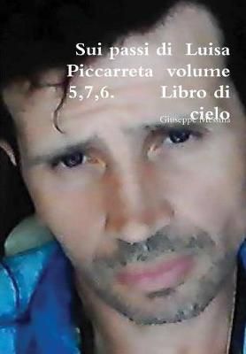 Sui passi di Luisa Piccarreta volume 5,7,6. Libro di cielo By Messina