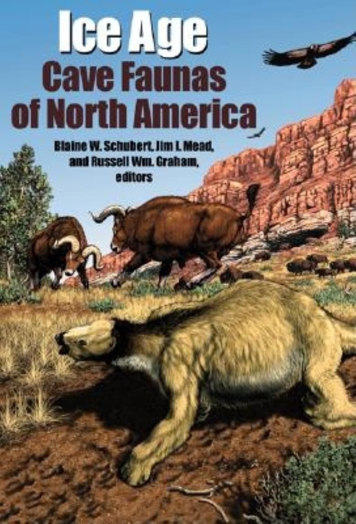 Ice Age Cave Faunas of North America By Blaine W. Schubert (Hardback)