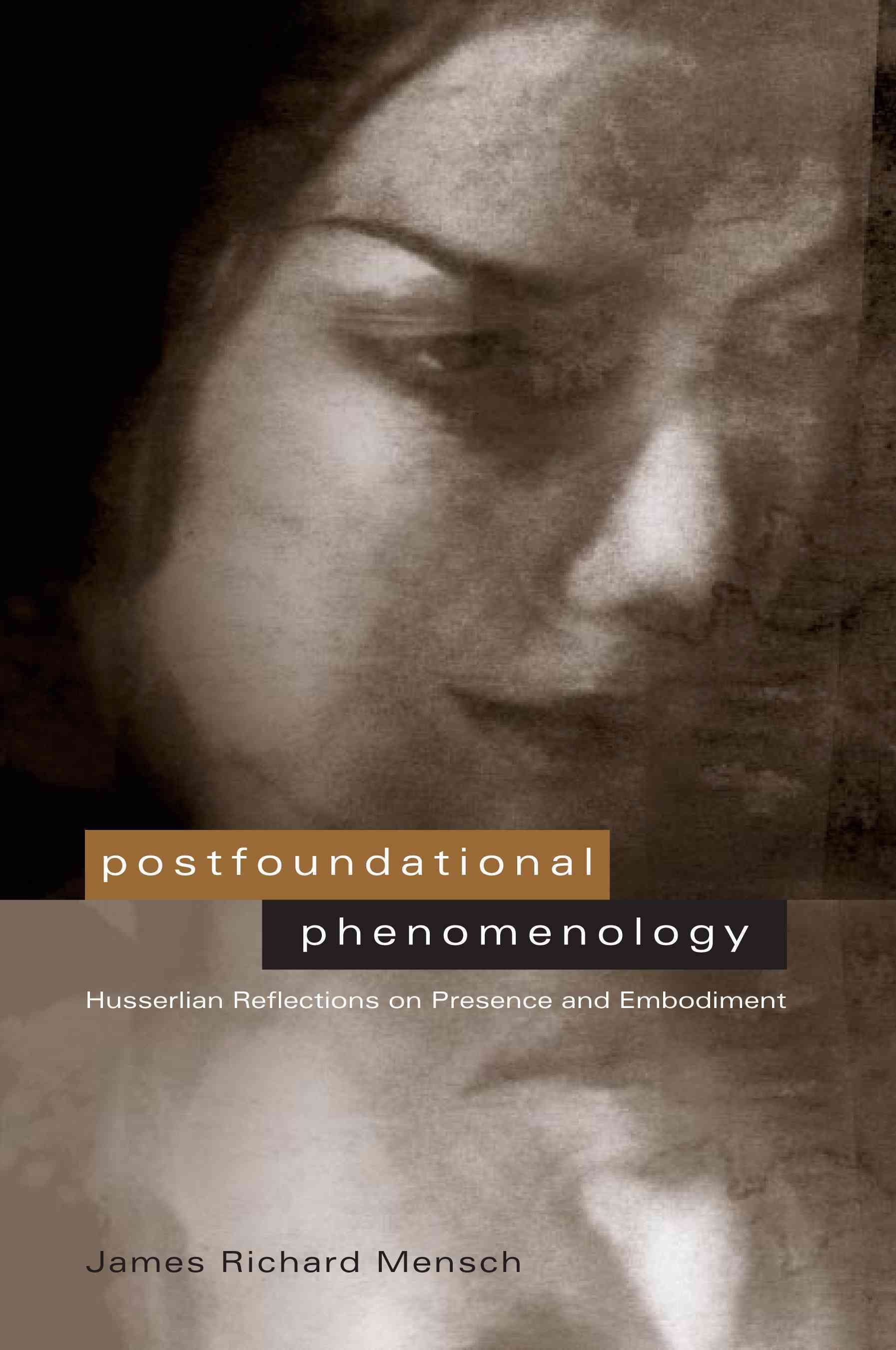 Postfoundational Phenomenology By James R. Mensch 9780271020471
