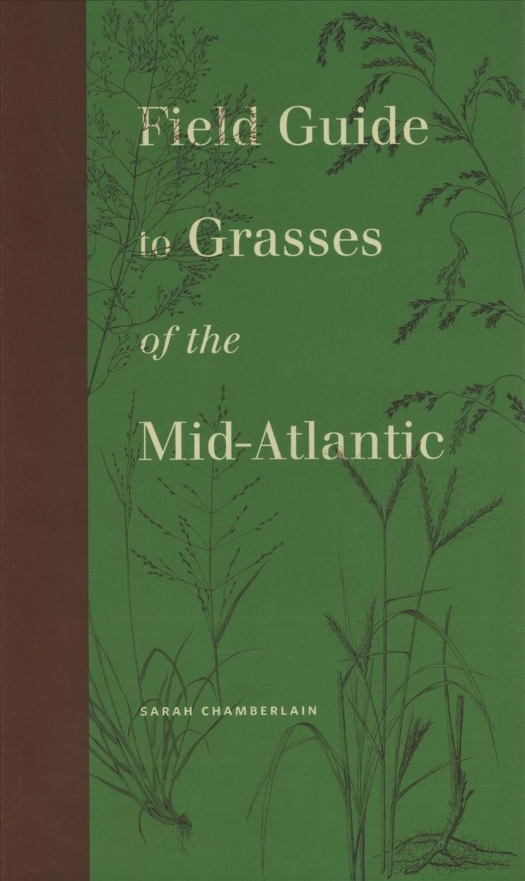 Field Guide to Grasses of the Mid-Atlantic By Sarah Chamberlain