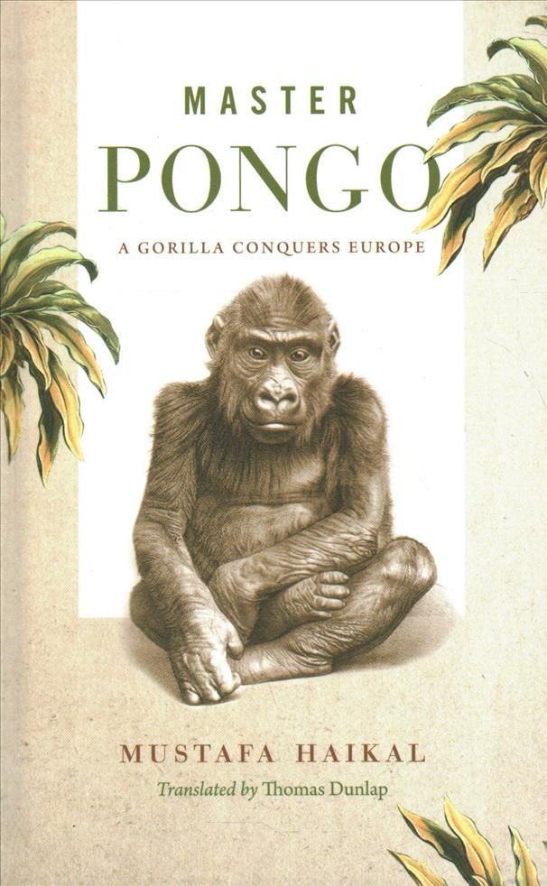Master Pongo By Mustafa Haikal (author), Thomas Dunlap (translator)