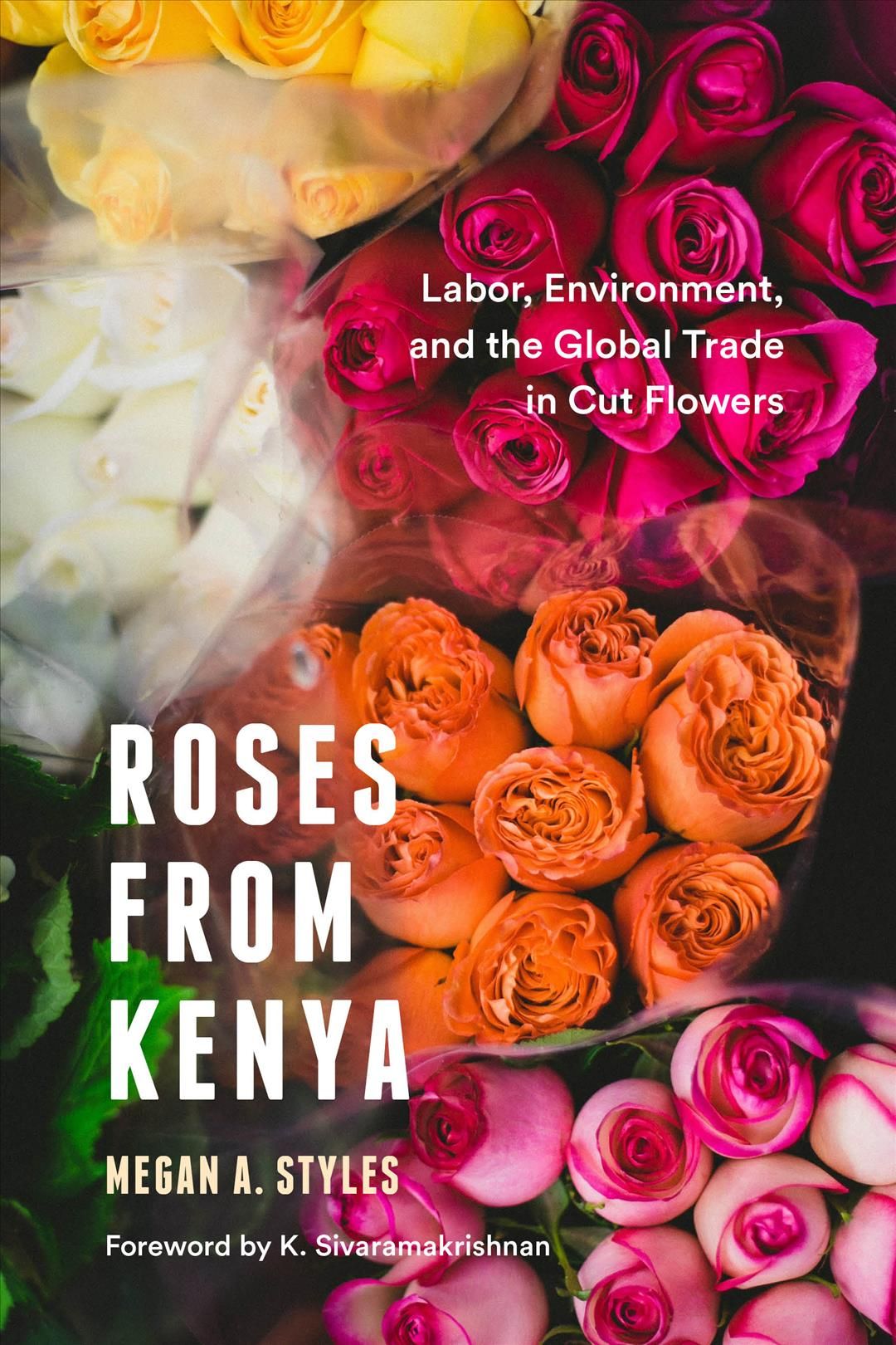 Roses from Kenya 9780295746500 (Paperback)