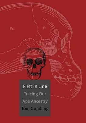 First in Line ? Tracing Our Ape Ancestry By Tom Gundling 9780300180176