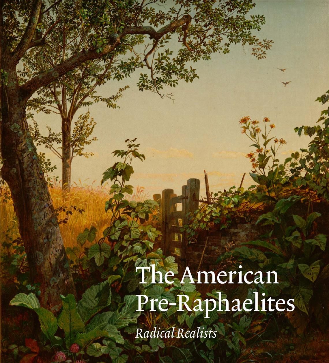 The American Pre-Raphaelites 9780300242522 (Hardback)
