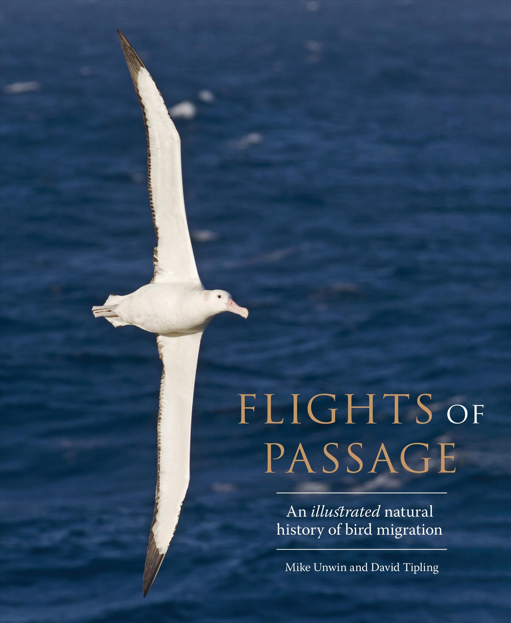 Flights of Passage By Mike Unwin, David Tipling 9780300247442