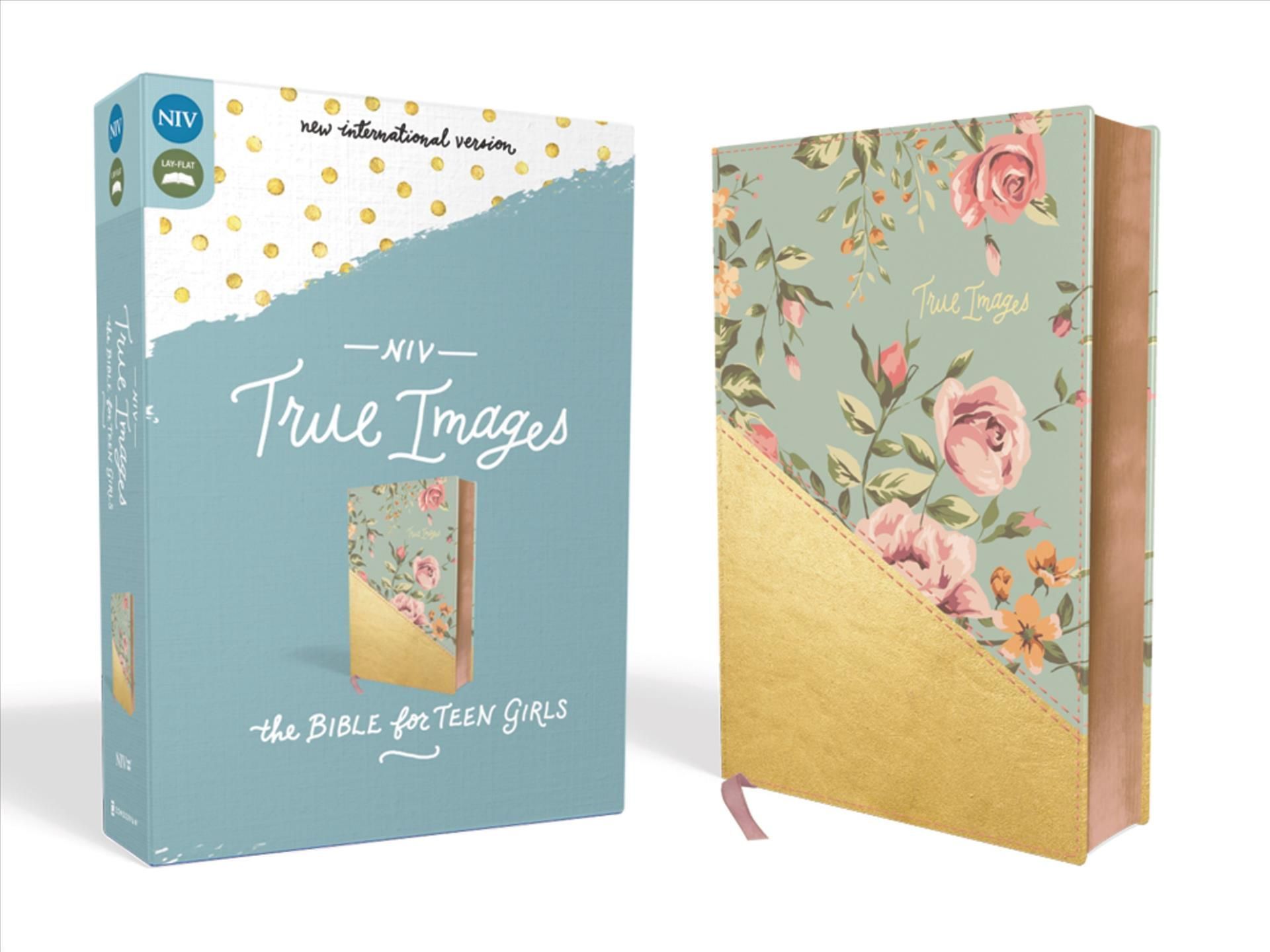 NIV, True Images Bible, Imitation Leather, Blue/Gold 9780310080046
