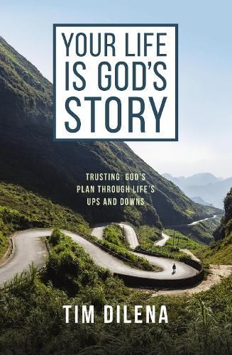 Your Life Is God's Story By Timothy Dilena 9780310155829 (Paperback)