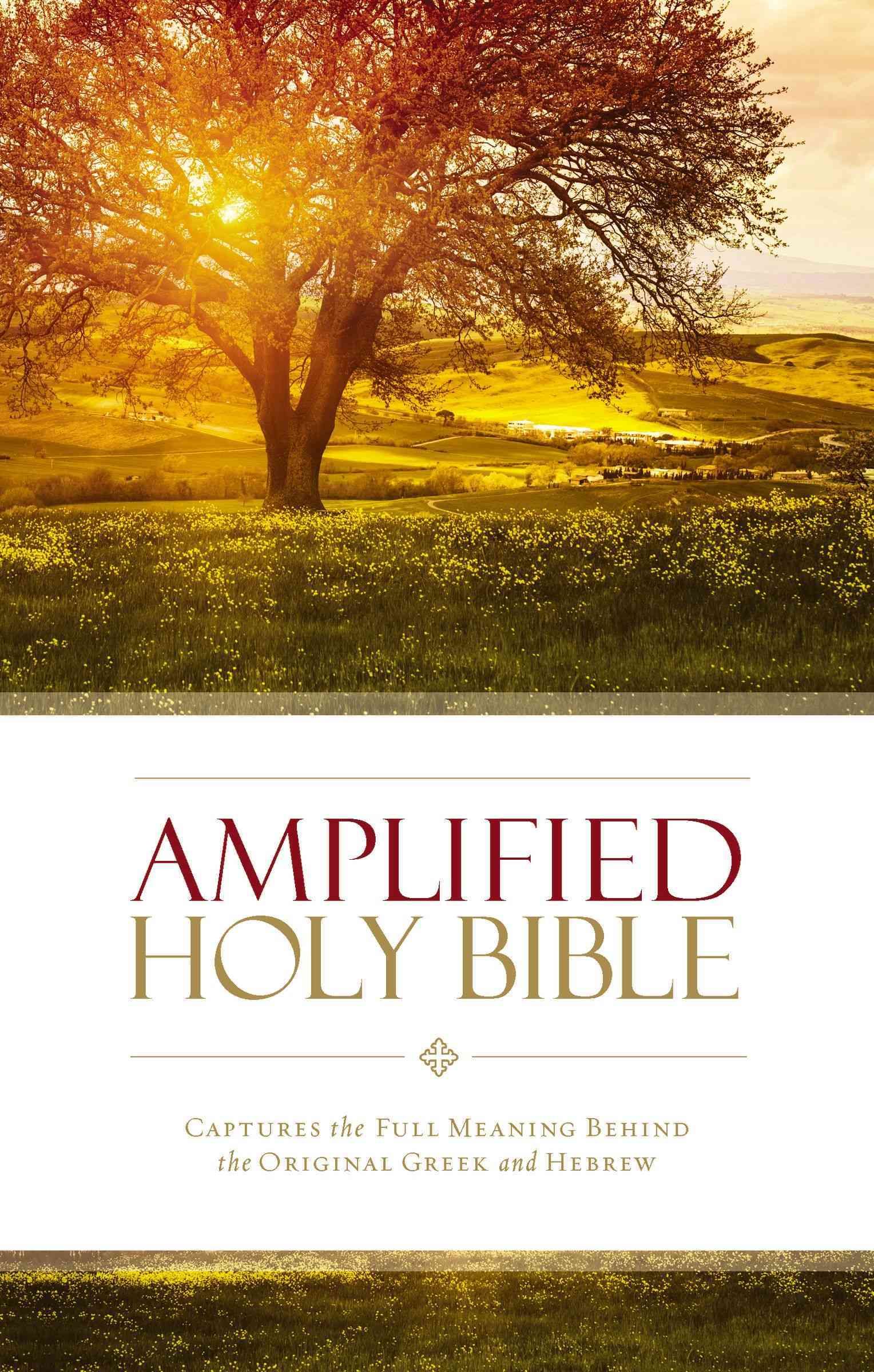 Amplified Holy Bible, Paperback By Zondervan 9780310443902 (Paperback)