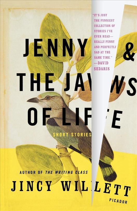 Jenny and the Jaws of Life By Jincy Willett 9780312428105 (Paperback)