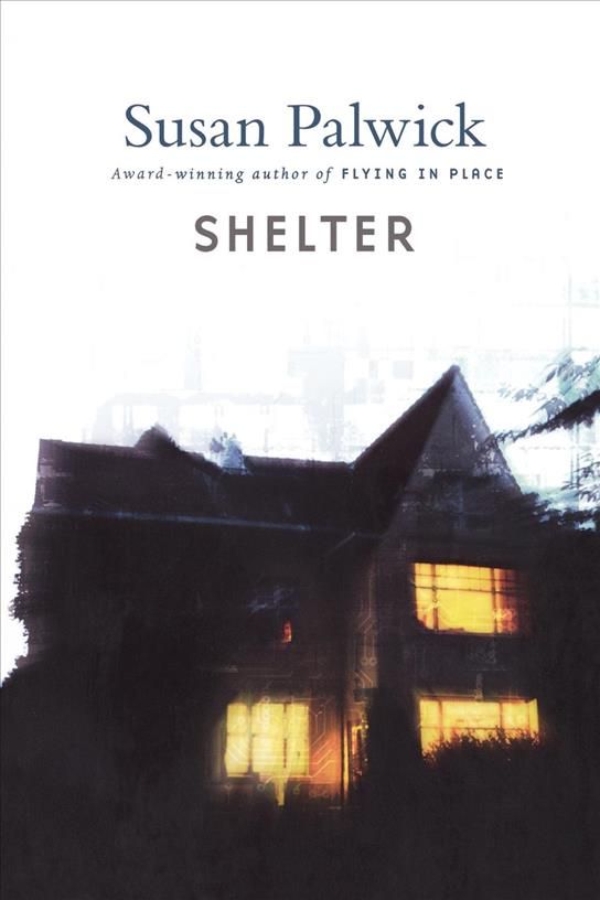 Shelter By Susan Palwick 9780312866020 (Book)