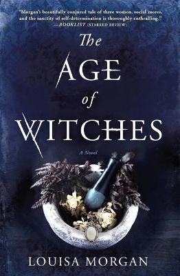 The Age of Witches By Louisa Morgan 9780316419543 (Paperback)