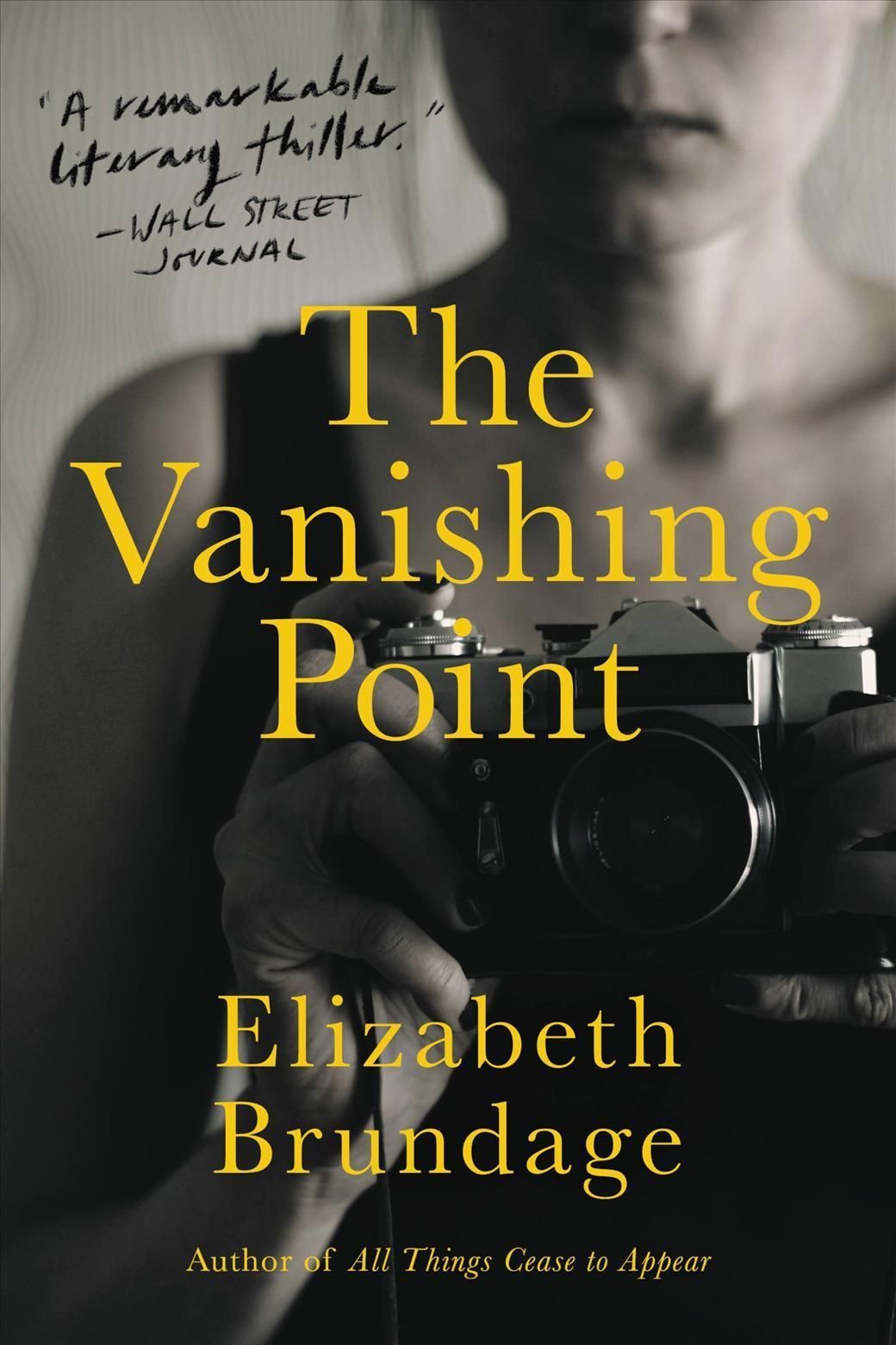 The Vanishing Point By Elizabeth Brundage 9780316430388 (Paperback)