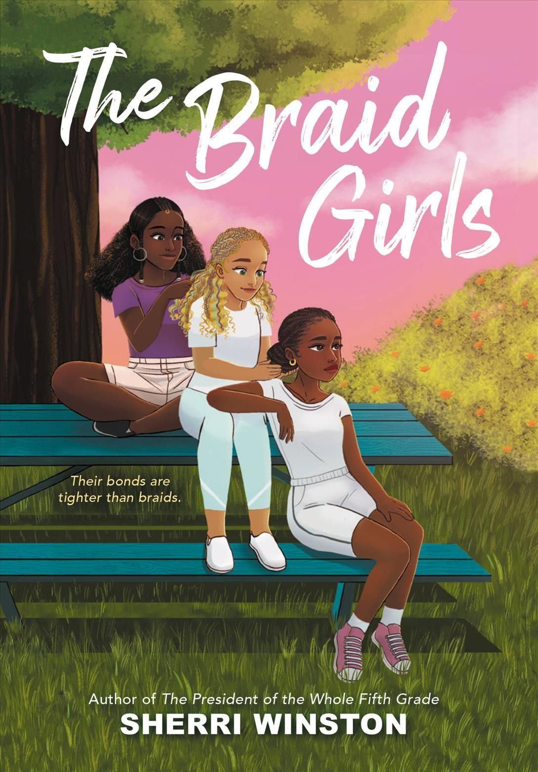 The Braid Girls By Sherri Winston 9780316461597 (Paperback)