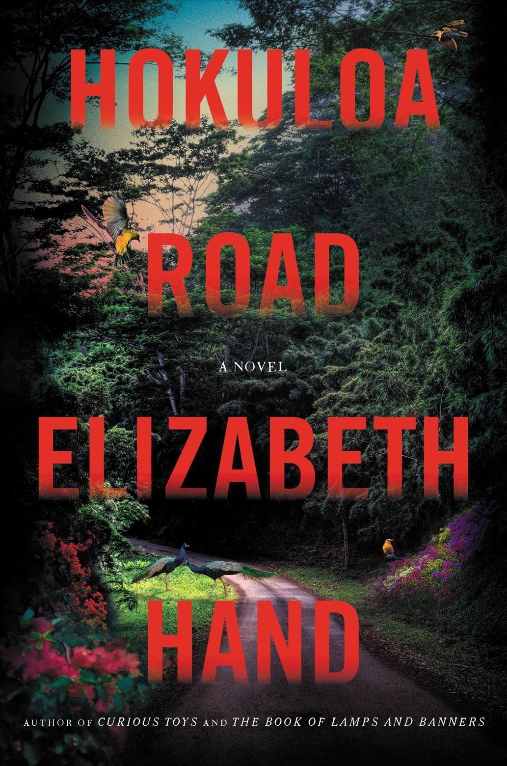 Hokuloa Road By Elizabeth Hand 9780316542043 (Hardback)