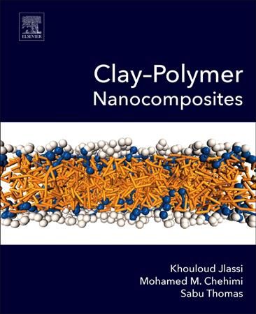 Clay-Polymer Nanocomposites 9780323461535 (Hardback)