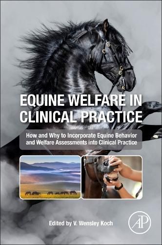 Equine Welfare in Clinical Practice By Virginia Wensley Koch (editor)