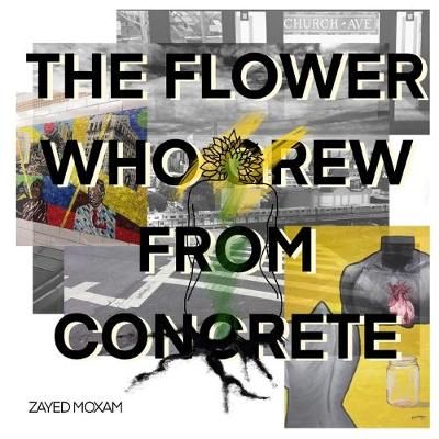 Flower Who Grew From Concrete By Zayed Moxam 9780359886951 (Paperback)