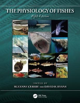 The Physiology of Fishes By Currie, Suzanne 9780367541095 (Hardback)
