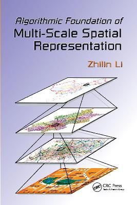 Algorithmic Foundation of Multi-Scale Spatial Representation