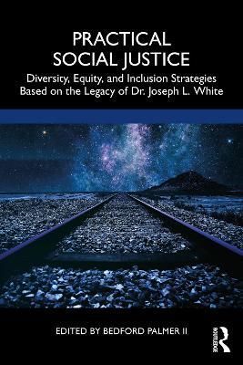 Practical Social Justice By Bedford Palmer (editor) 9780367654115