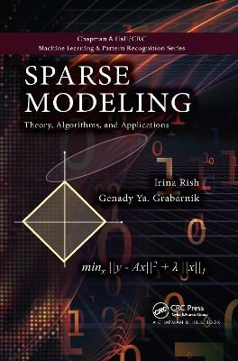 Sparse Modeling By Irina Rish, Genady Ya Grabarnik 9780367658922