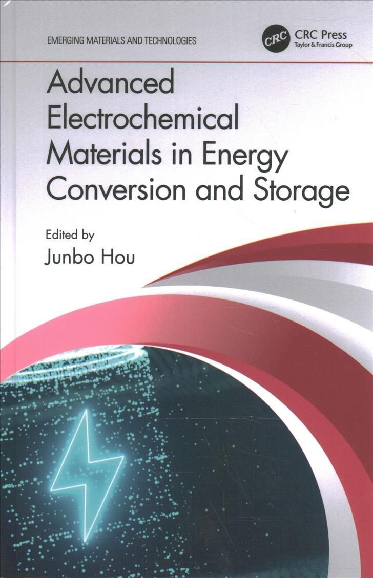 Advanced Electrochemical Materials in Energy Conversion and Storage