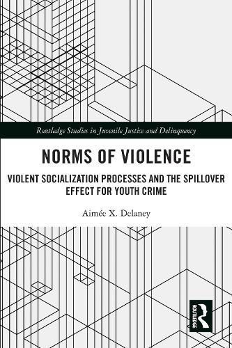 Norms of Violence: Violent Socialization Processes and the Spillover Effect for Youth Crime