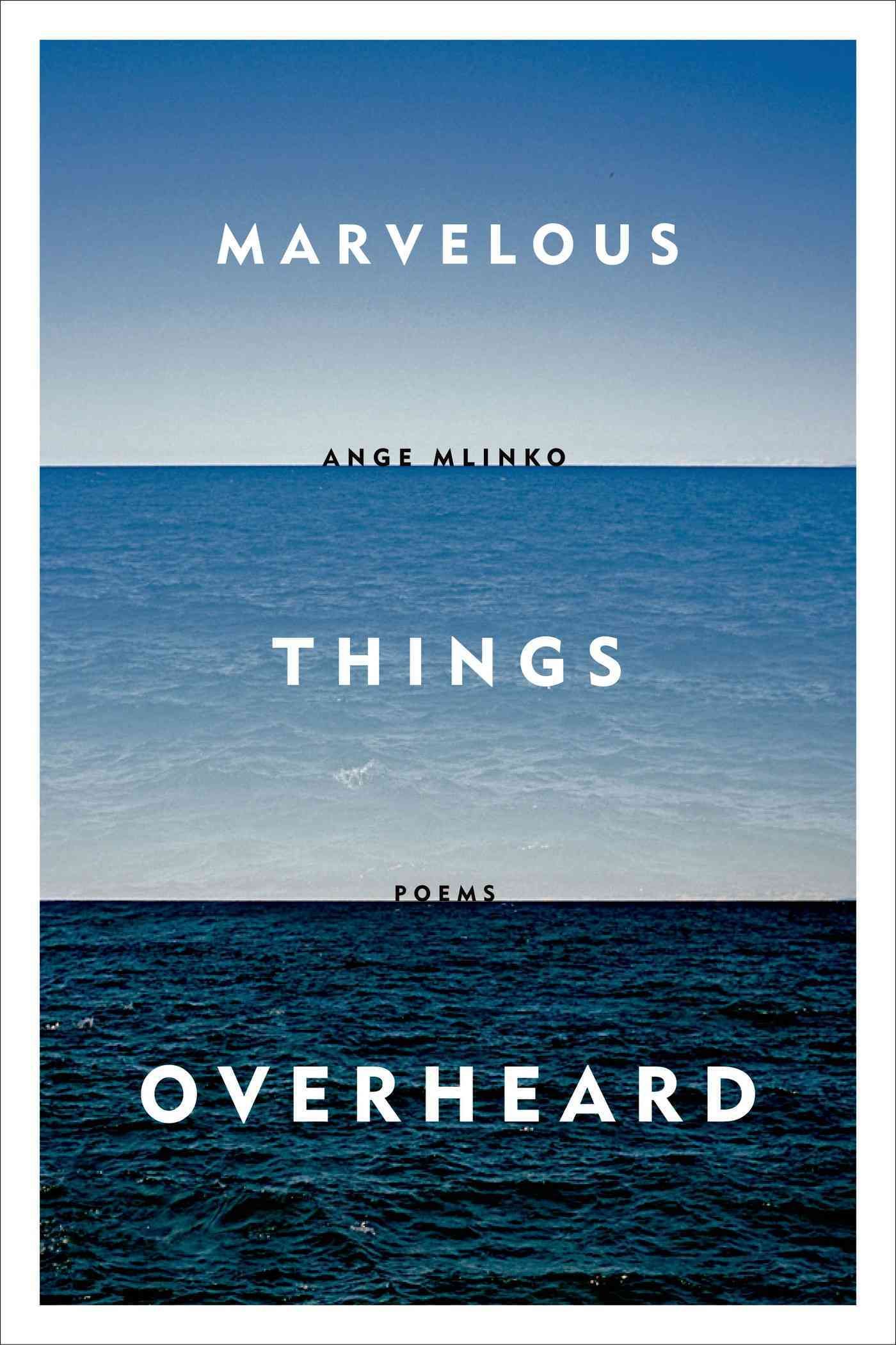 Marvelous Things Overheard By Ange Mlinko 9780374534806 (Paperback)
