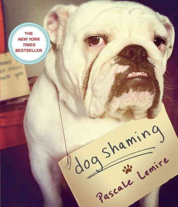 Dog Shaming By Pascale Lemire 9780385349345 (Paperback)