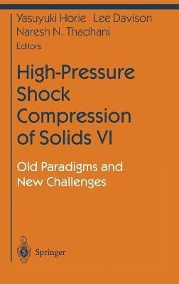 High-Pressure Shock Compression of Solids VI 9780387955322 (Hardback)