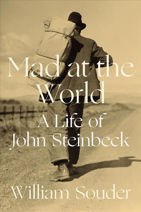 Mad at the World By William Souder 9780393292268 (Hardback)