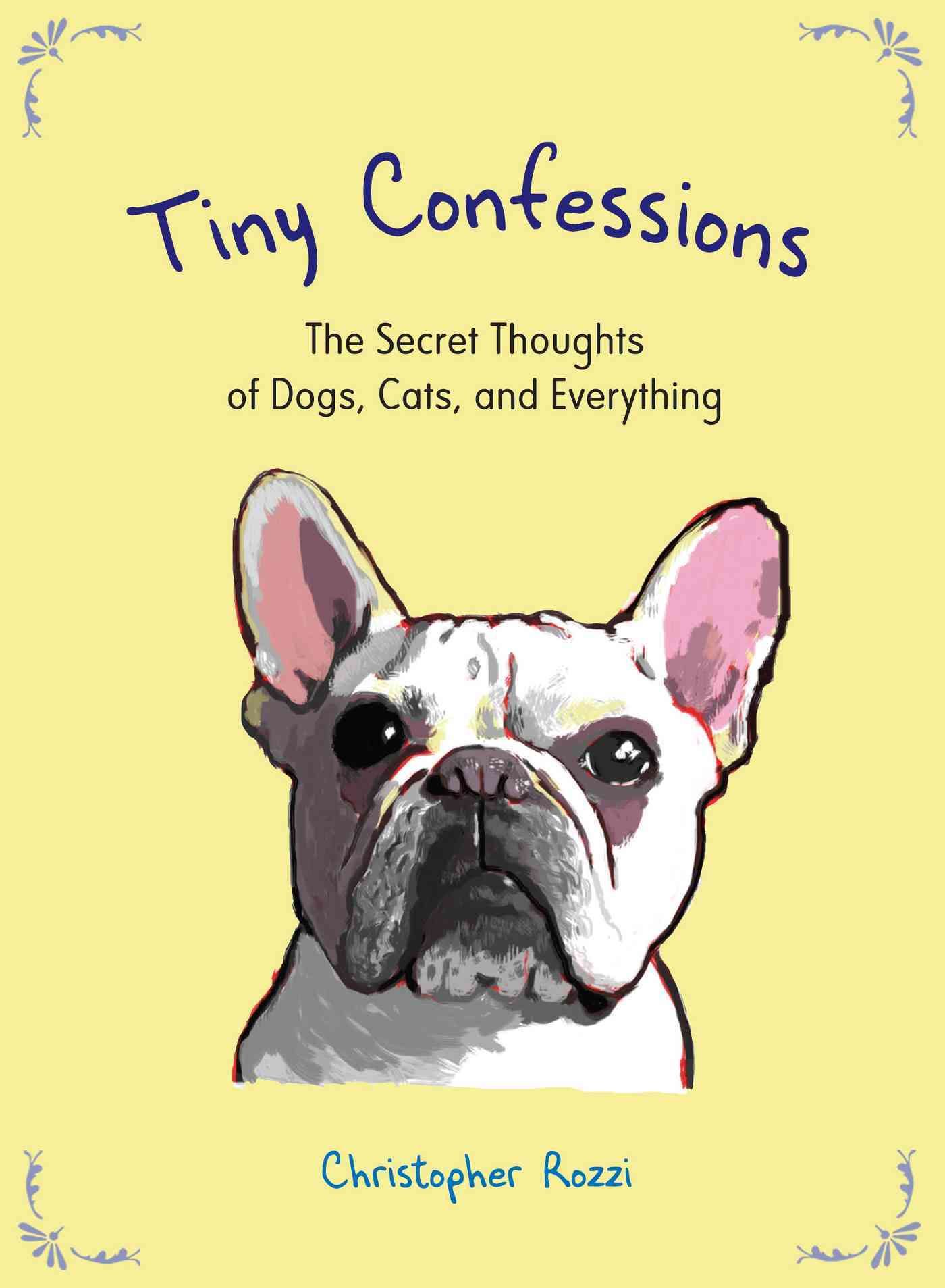 Tiny Confessions By Christopher Rozzi 9780399161063 (Hardback)