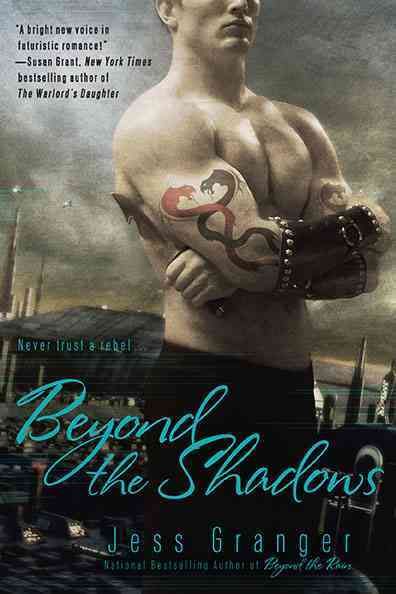 Beyond The Shadows By Jess Granger 9780425234150 (Paperback)