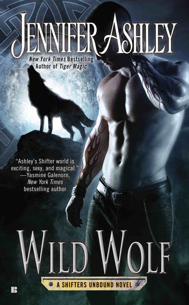 Wild Wolf By Jennifer Ashley 9780425266045 (Paperback)