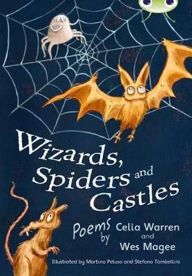 Wizards, Spiders and Castles 9780435076283 (Paperback)