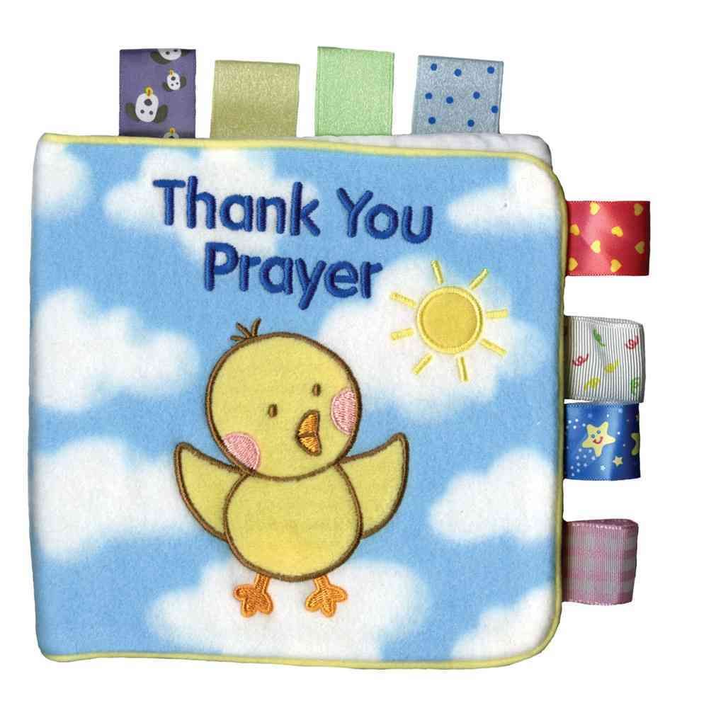 My First Taggies Book: Thank You Prayer By Will Grace 9780439875646