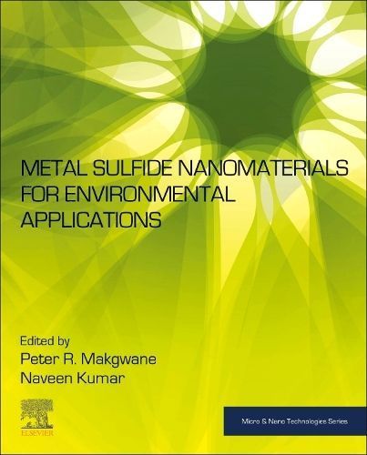 Metal Sulfide Nanomaterials for Environmental Applications (Paperback)