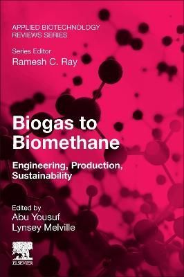 Biogas to Biomethane By Abu Yousuf (editor), Lynsey Melville (editor)