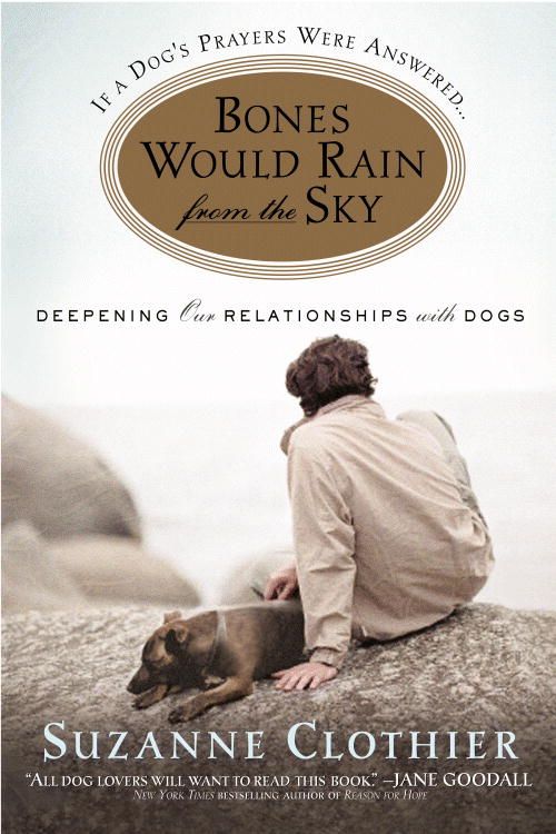 Bones Would Rain from the Sky By Suzanne Clothier 9780446696340
