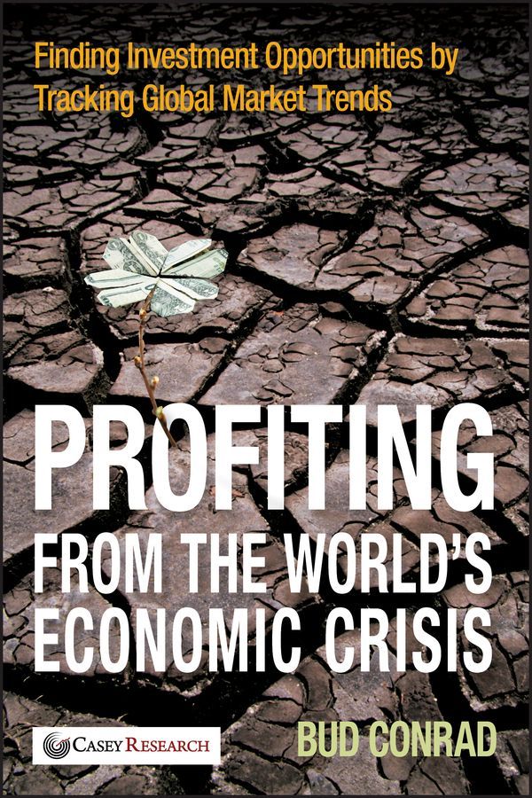 Profiting from the World?s Economic Crisis ? Finding Investment Opportunities by Tracking Global Market Trends