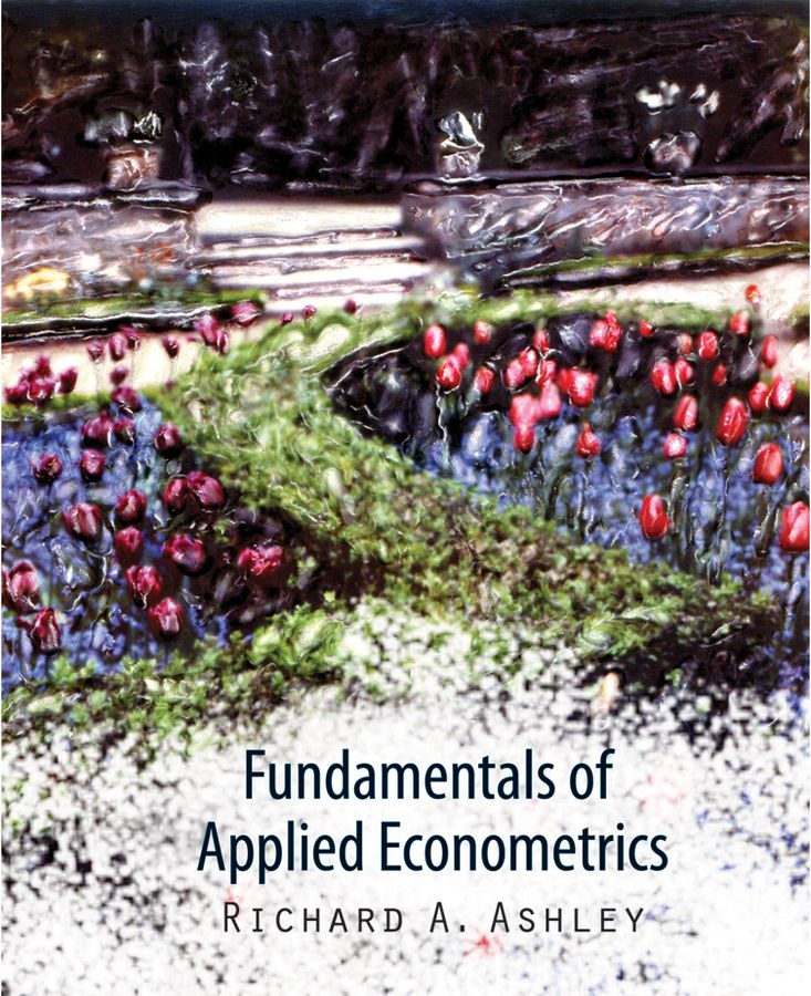 Fundamentals of Applied Econometrics By Richard A. Ashley (Hardback)