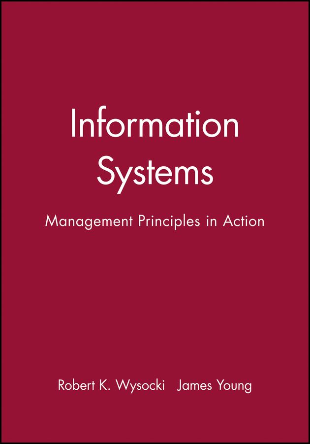 Information Systems By Robert K. Wysocki, James Young 9780471603023