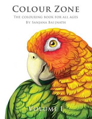 Colour Zone Volume 1 9780473321635 (Paperback)