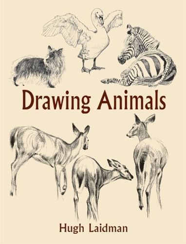 Drawing Animals By Hugh Laidman 9780486432076 (Paperback)