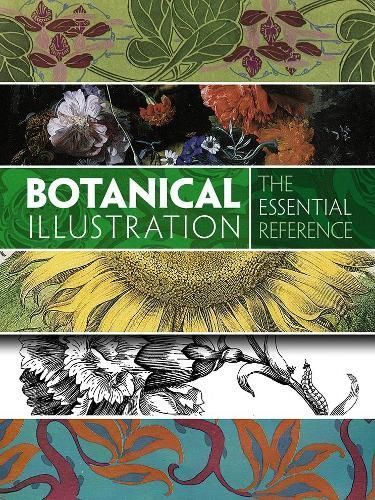 Botanical Illustration By Carol Belanger Grafton (compiler)