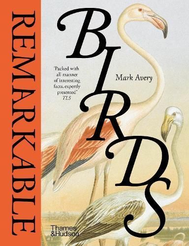 Remarkable Birds By Mark Avery 9780500027196 (Hardback)