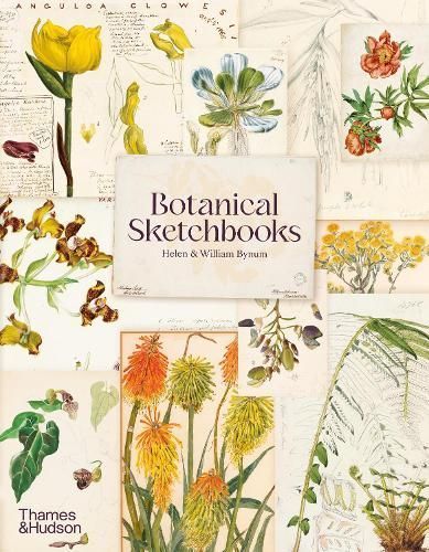 Botanical Sketchbooks 9780500297186 (Paperback)