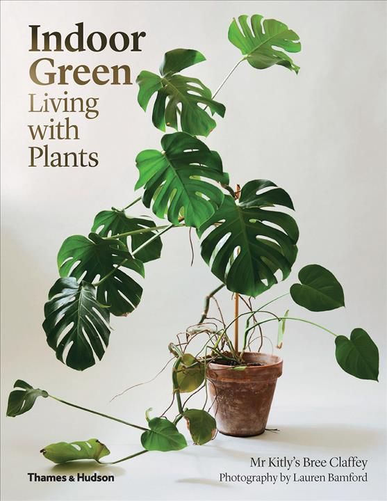 Indoor Green 9780500501061 (Paperback)